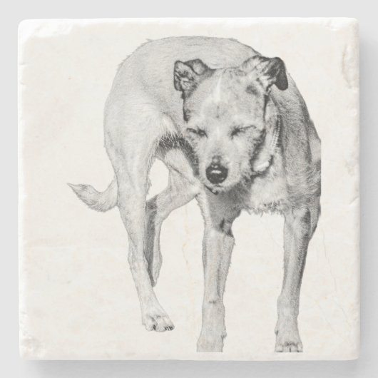 Sonnenkolz Steinuntersetzer (Vorderseite)