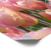 Sonnenküss-Rosa Tulips Poster (Ecke)