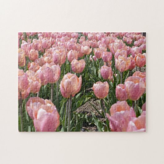 Sonnenküss-Rosa Tulips Puzzle (Horizontal)