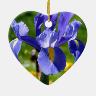 Sonnenlicht auf blauer Iris Keramikornament