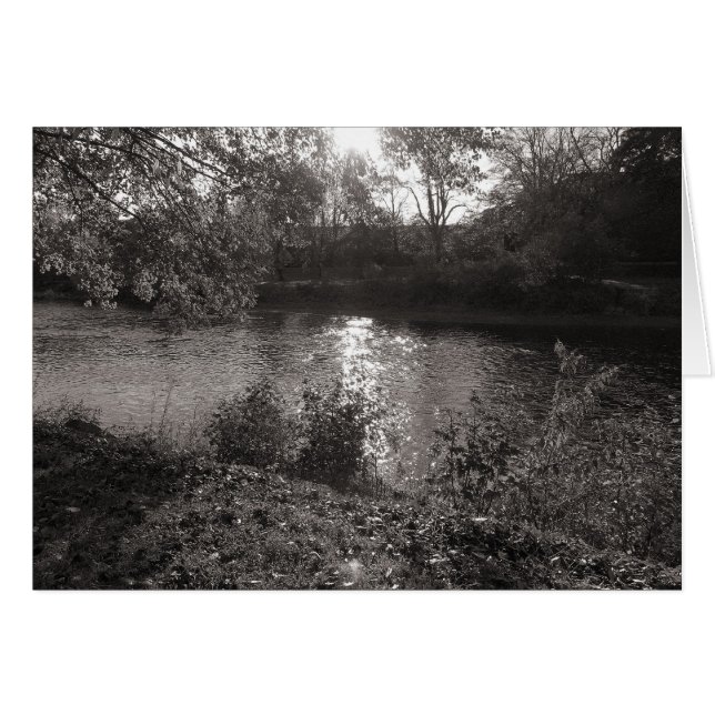 Sonnenlicht auf dem Taff, Bute Park, Cardiff (Vorderseite (Horizontal))