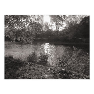 Sonnenlicht auf dem Taff, Bute Park, Cardiff Fotodruck