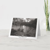 Sonnenlicht auf dem Taff, Bute Park, Cardiff (gren Karte (Rückseite)