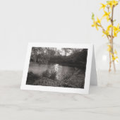 Sonnenlicht auf dem Taff, Bute Park, Cardiff (gren Karte (Gelbe Blume)