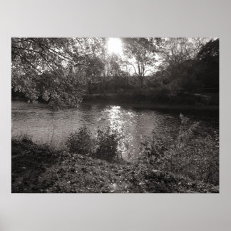 Sonnenlicht auf dem Taff, Bute Park, Cardiff Poster