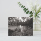 Sonnenlicht auf dem Taff, Bute Park, Cardiff Postkarte (Stehend Vorderseite)