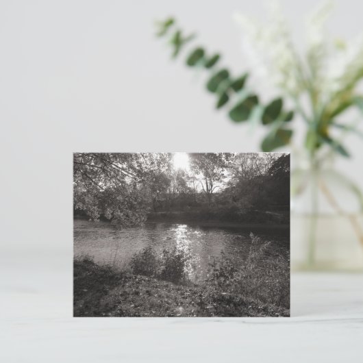 Sonnenlicht auf dem Taff, Bute Park, Cardiff Postkarte (Stehend Vorderseite)