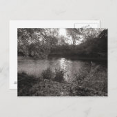 Sonnenlicht auf dem Taff, Bute Park, Cardiff Postkarte (Vorne/Hinten)