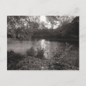 Sonnenlicht auf dem Taff, Bute Park, Cardiff Postkarte (Vorderseite)