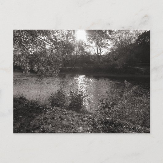 Sonnenlicht auf dem Taff, Bute Park, Cardiff Postkarte (Vorderseite)