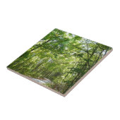 Sonnenlicht auf dem Waldweg im Centennial Park Fliese (Seite)