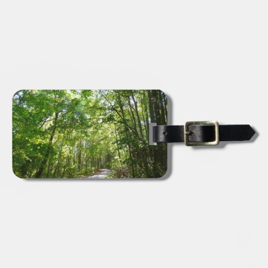 Sonnenlicht auf dem Waldweg im Centennial Park Gepäckanhänger (Vorderseite horizontal)