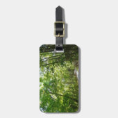 Sonnenlicht auf dem Waldweg im Centennial Park Gepäckanhänger (Vorderseite vertikal)