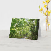 Sonnenlicht auf dem Waldweg im Centennial Park Karte (Gelbe Blume)