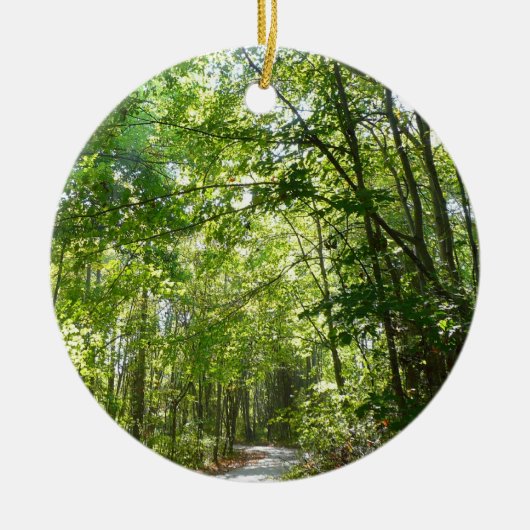 Sonnenlicht auf dem Waldweg im Centennial Park Keramikornament (Vorne)