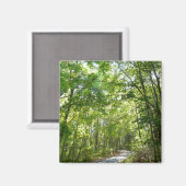 Sonnenlicht auf dem Waldweg im Centennial Park Magnet (Vorderseite/Rückseite)