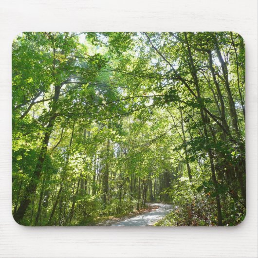 Sonnenlicht auf dem Waldweg im Centennial Park Mousepad (Vorne)