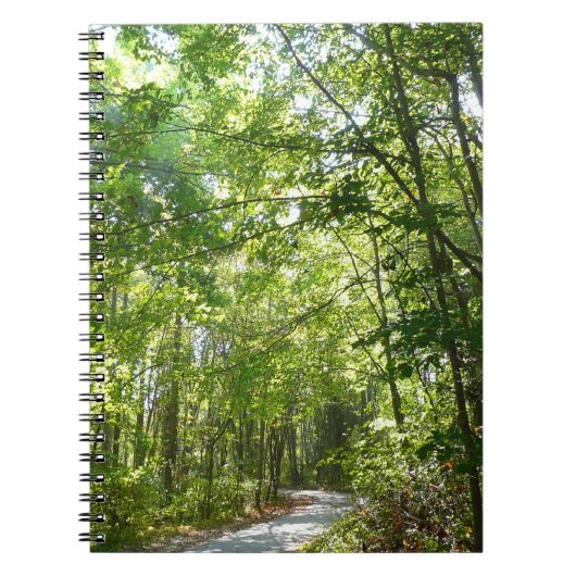 Sonnenlicht auf dem Waldweg im Centennial Park Notizblock (Vorderseite)