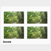 Sonnenlicht auf dem Waldweg im Centennial Park Rechteckiger Aufkleber (Blatt)