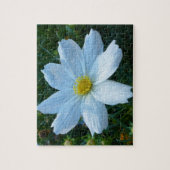 Sonnenlicht auf der Blume Weißkosmos Puzzle (Vertikal)