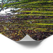 Sonnenlicht auf der Palm Fronds Plakatpapier Poster (Ecke)