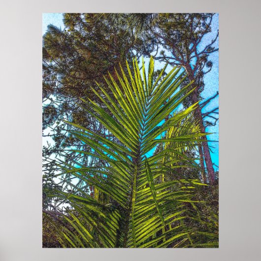 Sonnenlicht auf der Palm Fronds Plakatpapier Poster (Vorne)