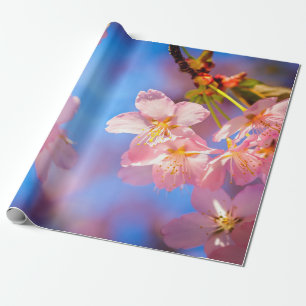 Sonnenlicht auf Kirschblüten Geschenkpapier