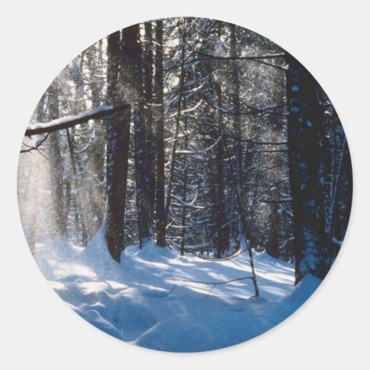 Sonnenlicht auf Schnee Runder Aufkleber (Vorderseite)