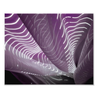 Sonnenlicht auf Sheers Fotodruck