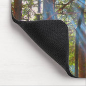 Sonnenlicht bricht durch die Kiefern Mousepad (Ecke)