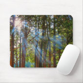 Sonnenlicht bricht durch die Kiefern Mousepad (Mit Mouse)