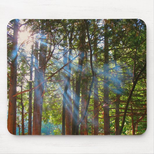 Sonnenlicht bricht durch die Kiefern Mousepad (Vorne)