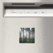 Sonnenlicht bricht durch einen Nebelwald Magnet (In Situ (Geschirrspüler))