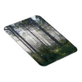 Sonnenlicht bricht durch einen Nebelwald Magnet (Rechte Seite)