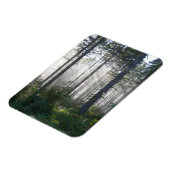Sonnenlicht bricht durch einen Nebelwald Magnet (Linke Seite)