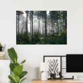 Sonnenlicht bricht durch einen Nebelwald Poster (Heimbüro)
