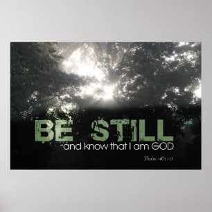 Sonnenlicht, das durch den Nebel religiös glänzt Poster