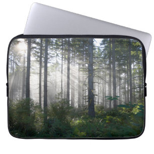 Sonnenlicht, das durch einen nebelhaften Wald Laptopschutzhülle