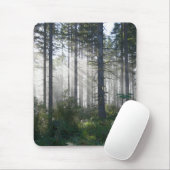 Sonnenlicht, das durch einen nebelhaften Wald Mousepad (Mit Mouse)