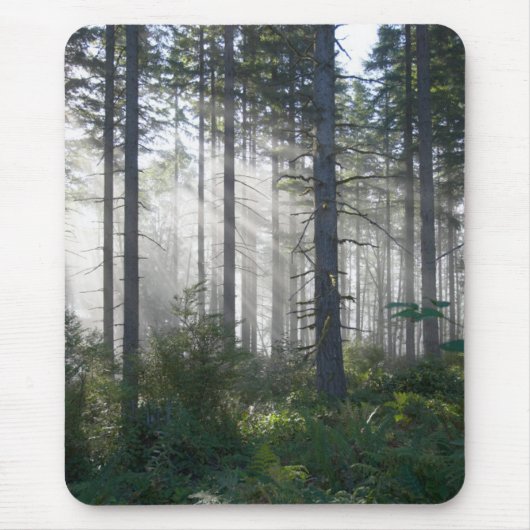 Sonnenlicht, das durch einen nebelhaften Wald Mousepad (Vorne)