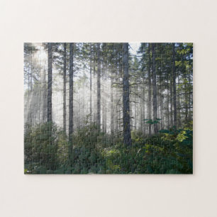 Sonnenlicht, das durch einen nebelhaften Wald Puzzle
