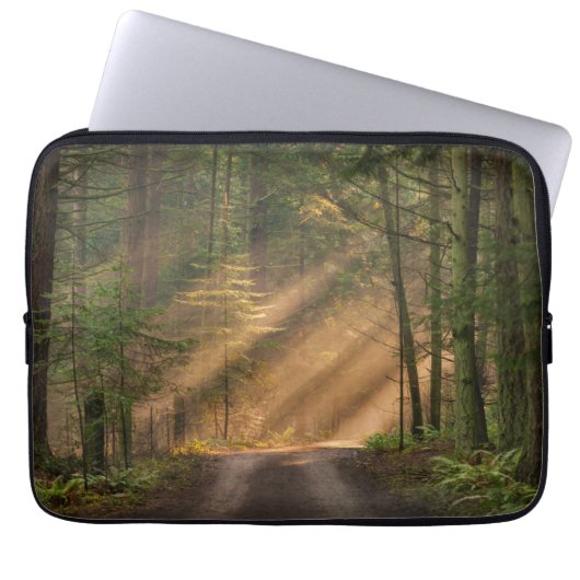 Sonnenlicht, das durch einen Wald glänzt Laptopschutzhülle (Vorderseite)