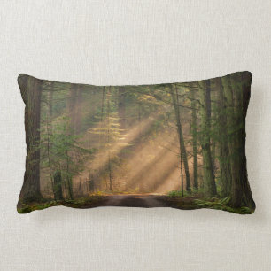 Sonnenlicht, das durch einen Wald glänzt Lendenkissen