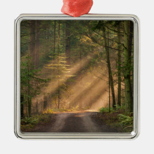 Sonnenlicht, das durch einen Wald glänzt Ornament Aus Metall