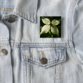 Sonnenlicht Dogwood Blossom Frühlingsblume Button (Beispiel)