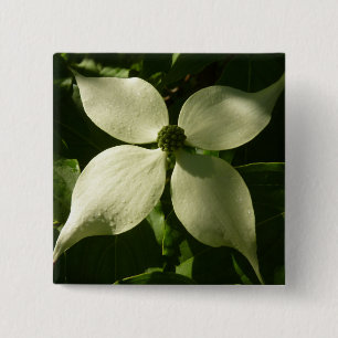 Sonnenlicht Dogwood Blossom Frühlingsblume Button