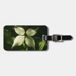 Sonnenlicht Dogwood Blossom Frühlingsblume Gepäckanhänger