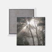 Sonnenlicht Durch Bäume Dunkler Wald Magnet (Vorderseite/Rückseite)