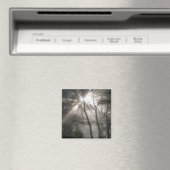Sonnenlicht Durch Bäume Dunkler Wald Magnet (In Situ (Geschirrspüler))