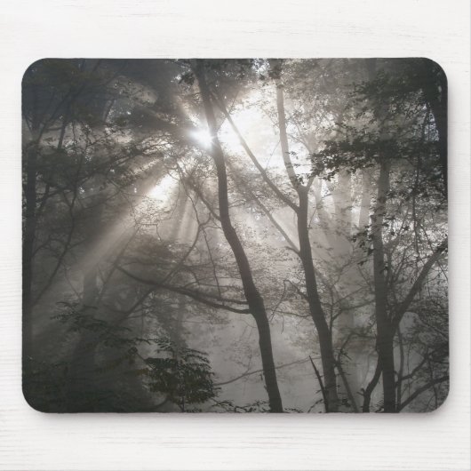 Sonnenlicht Durch Bäume Dunkler Wald Mousepad (Vorne)